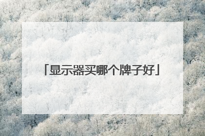 显示器买哪个牌子好