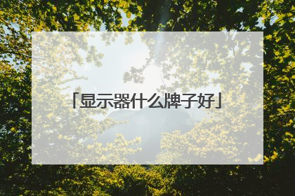 显示器什么牌子好