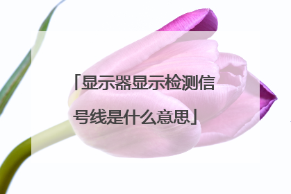 显示器显示检测信号线是什么意思
