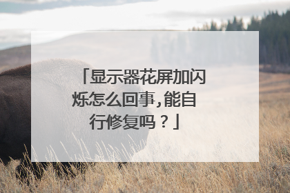 显示器花屏加闪烁怎么回事,能自行修复吗?
