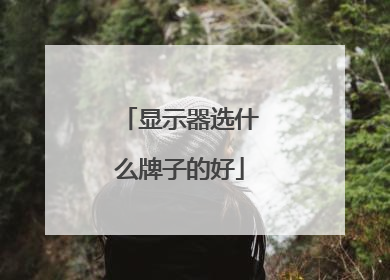 显示器选什么牌子的好