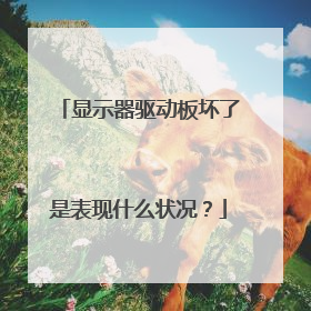 显示器驱动板坏了是表现什么状况?