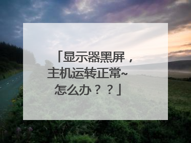 显示器黑屏,主机运转正常~怎么办??