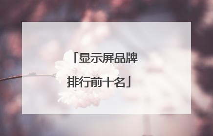 显示屏品牌排行前十名