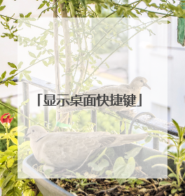 显示桌面快捷键