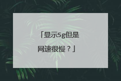 显示5g但是网速很慢?