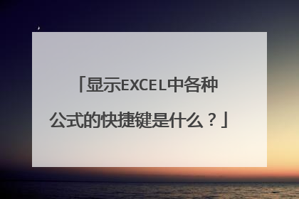 显示EXCEL中各种公式的快捷键是什么?