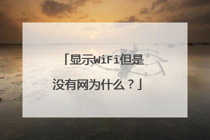 显示WiFi但是没有网为什么？