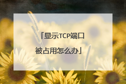 显示TCP端口被占用怎么办