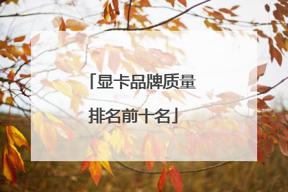显卡品牌质量排名前十名