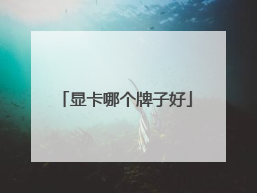 显卡哪个牌子好