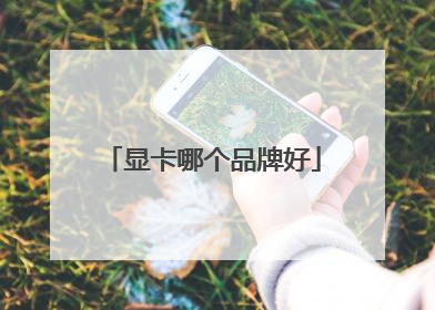 显卡哪个品牌好