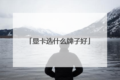 显卡选什么牌子好