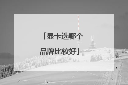 显卡选哪个品牌比较好