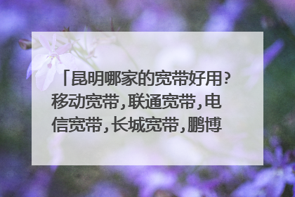 昆明哪家的宽带好用?移动宽带,联通宽带,电信宽带,长城宽带,鹏博士宽带,艾普宽带这几家我选哪一家的啊,