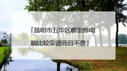 昆明市五华区哪里修电脑比较靠谱而且不贵