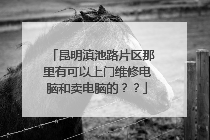 昆明滇池路片区那里有可以上门维修电脑和卖电脑的？？