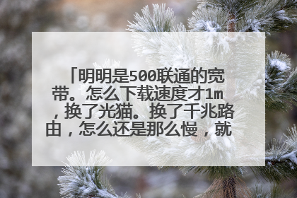 明明是500联通的宽带。怎么下载速度才1m,换了光猫。换了千兆路由,怎么还是那么慢,就没超过2m?