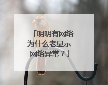 明明有网络为什么老显示网络异常?