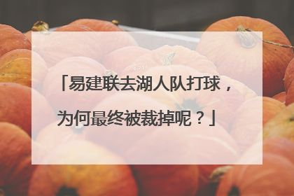 易建联去湖人队打球,为何最终被裁掉呢?