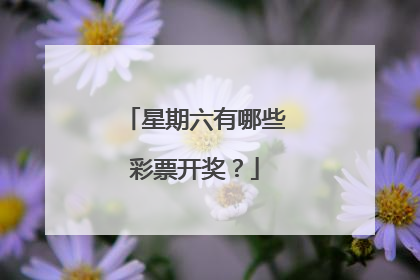 星期六有哪些彩票开奖？