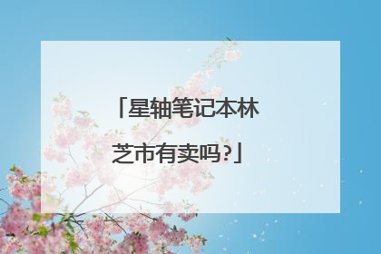 星轴笔记本林芝市有卖吗?