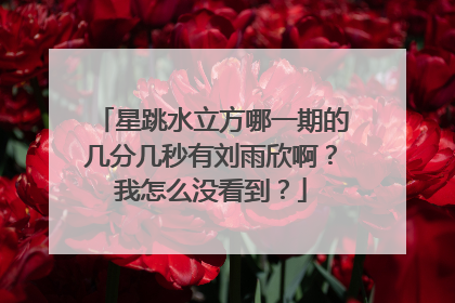 星跳水立方哪一期的几分几秒有刘雨欣啊？我怎么没看到？