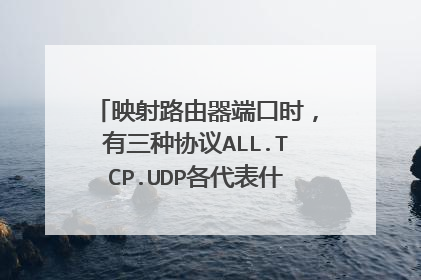 映射路由器端口时，有三种协议ALL.TCP.UDP各代表什么，怎么选择？