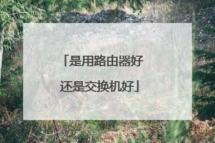 是用路由器好 还是交换机好