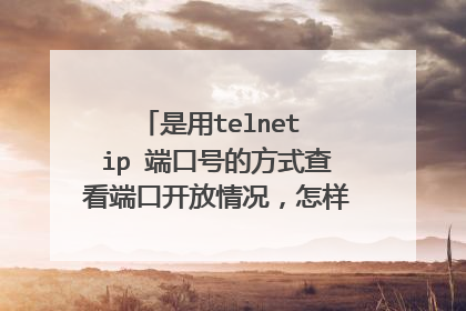 是用telnet ip 端口号的方式查看端口开放情况，怎样通过返回值判断？