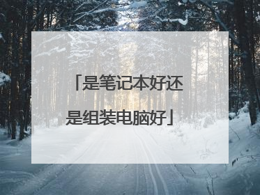 是笔记本好还是组装电脑好