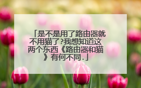 是不是用了路由器就不用猫了?我想知道这两个东西《路由器和猫》有何不同.