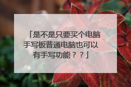 是不是只要买个电脑手写板普通电脑也可以有手写功能？？