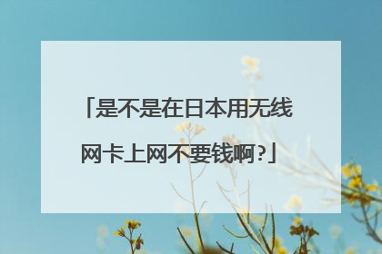 是不是在日本用无线网卡上网不要钱啊?