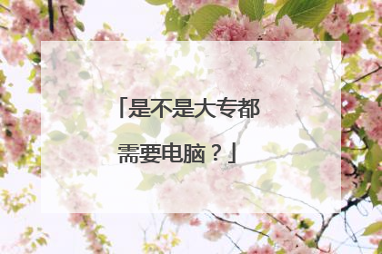 是不是大专都需要电脑？
