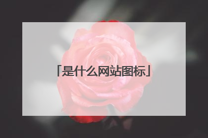 是什么网站图标