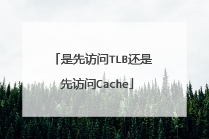 是先访问TLB还是先访问Cache