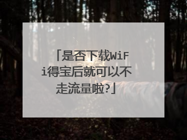 是否下载WiFi得宝后就可以不走流量啦?
