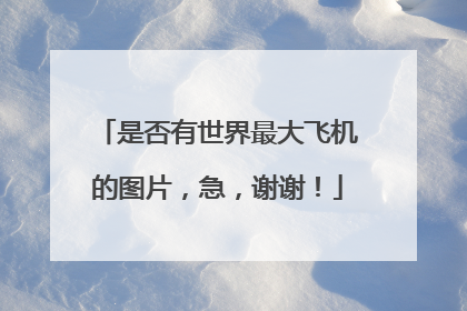 是否有世界最大飞机的图片，急，谢谢！
