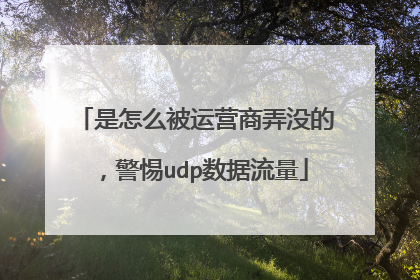 是怎么被运营商弄没的,警惕udp数据流量