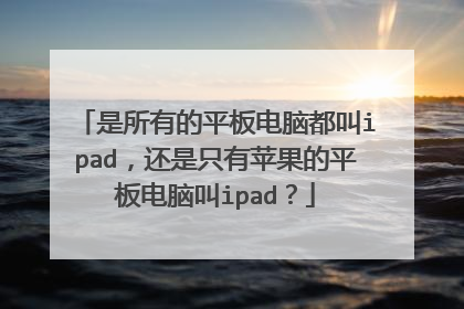 是所有的平板电脑都叫ipad,还是只有苹果的平板电脑叫ipad?