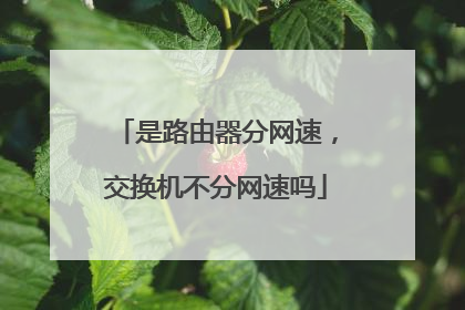 是路由器分网速,交换机不分网速吗