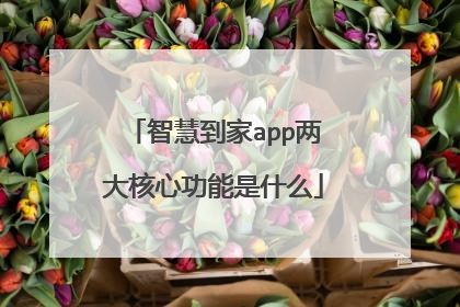 智慧到家app两大核心功能是什么