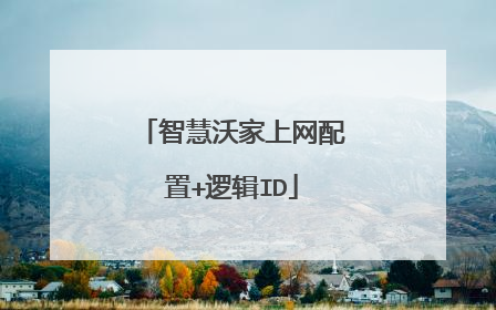 智慧沃家上网配置+逻辑ID