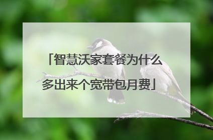 智慧沃家套餐为什么多出来个宽带包月费