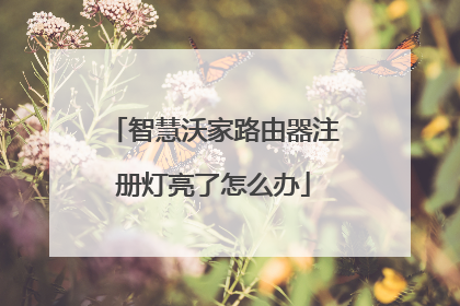 智慧沃家路由器注册灯亮了怎么办