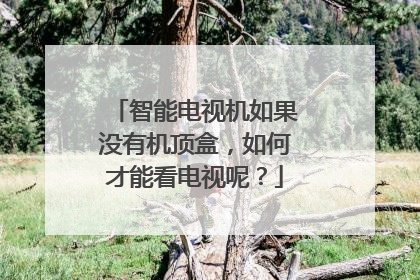 智能电视机如果没有机顶盒，如何才能看电视呢？