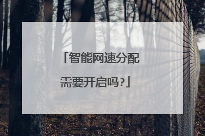 智能网速分配需要开启吗?
