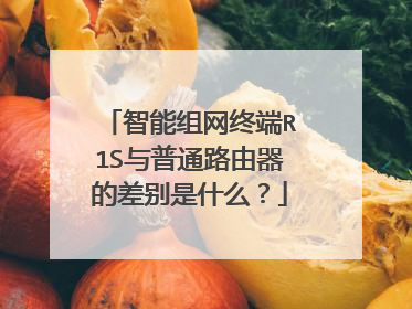 智能组网终端R1S与普通路由器的差别是什么?