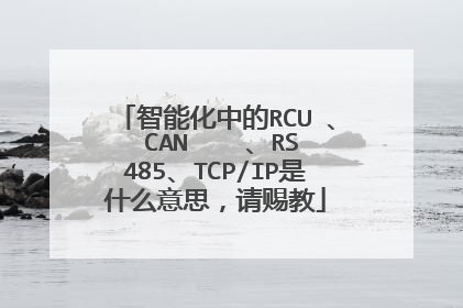 智能化中的RCU 、 CAN    、RS485、TCP/IP是什么意思，请赐教